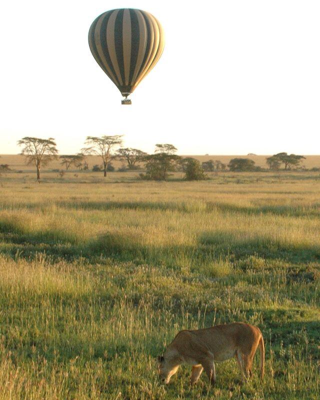 2. Hot Air Balloon Safari in Serengeti National Park