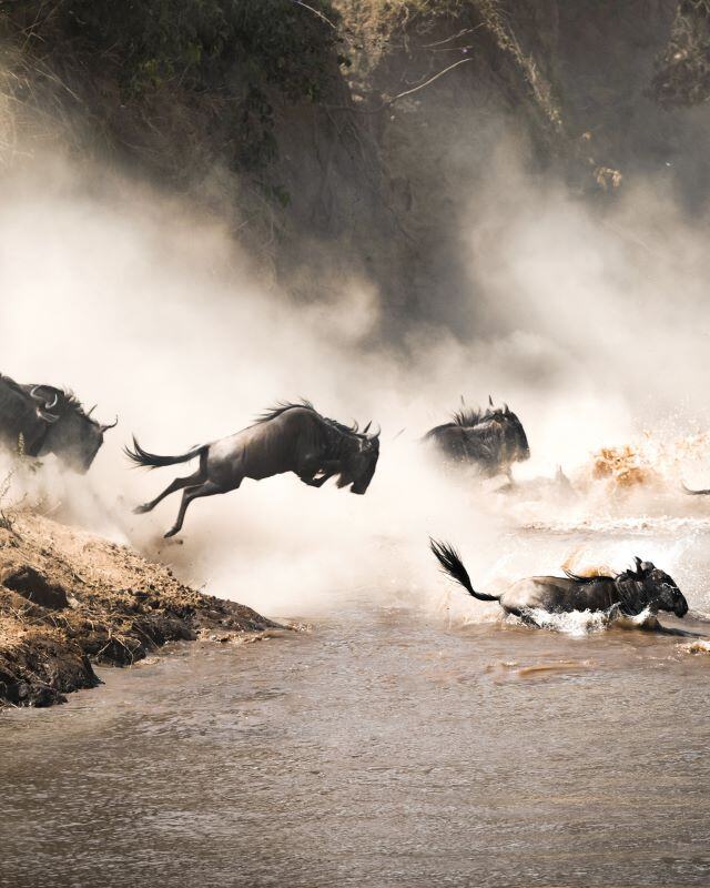 3. Great Migration Crossing