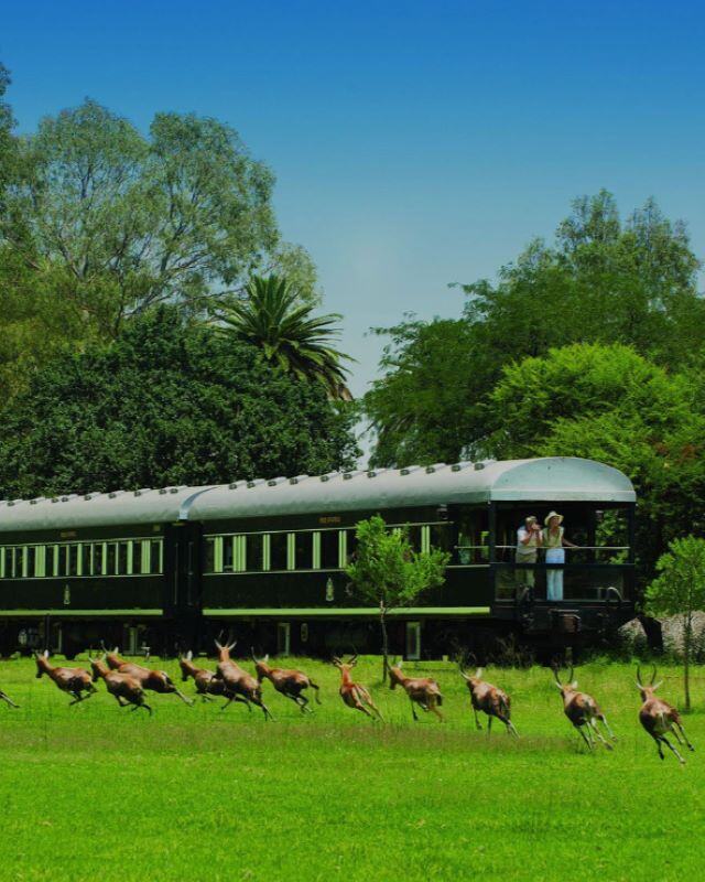 4. South Africa – Private Train Journey with Rovos Rail  - Copy