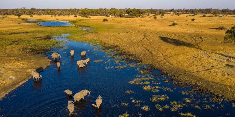 Le Botswana est l'une des principales destinations de safari en Afrique, avec des camps exclusifs offrant une immersion totale dans la nature. Cette destination de safari de luxe vous permet d'explorer des paysages incroyables, comme le désert du Kalahari ou le delta de l'Okavango, tout en profitant des lodges raffinés et d'une faune exceptionnelle.